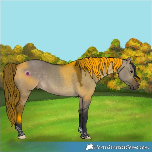 Horse Color:Brown Dun Tobiano Rabicano 