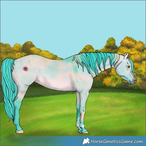 Horse Color:Watercolor Buckskin Dun Tobiano Rabicano 