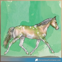 Horse Color:Watercolor Plaid  White Spotted Liver Red Onyx 