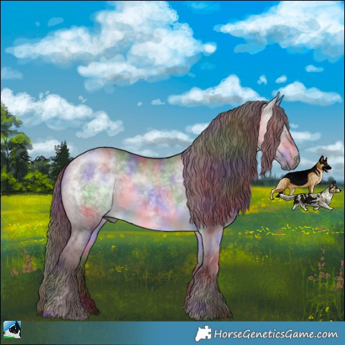 Horse Color:Nacre Chocolate Brown Chinchilla Dun 