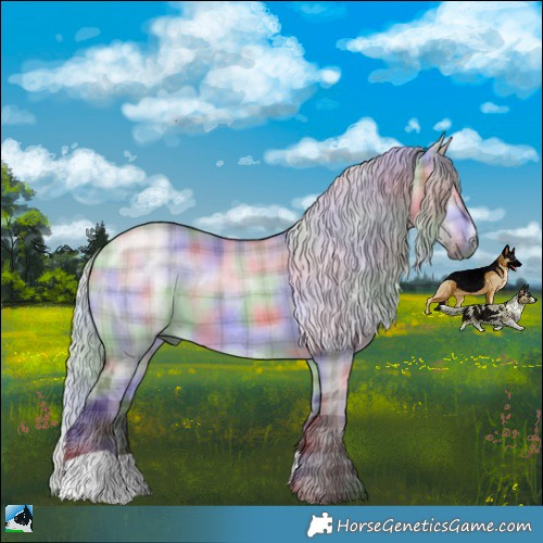Horse Color:Nacre Plaid  Chocolate Silver Brown Chinchilla Dun 
