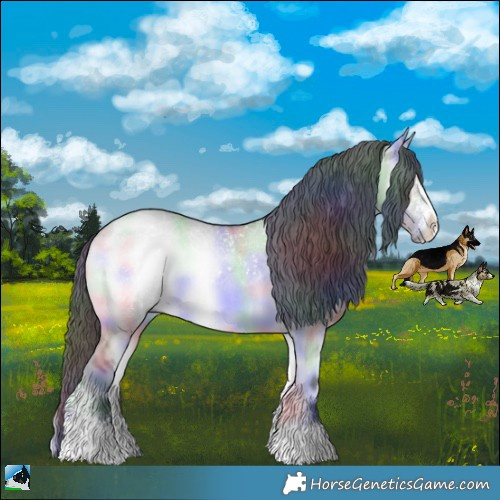 Horse Color:Nacre Grullo Chinchilla Onyx Sabino 