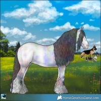 Horse Color:Nacre Grullo Chinchilla Onyx Sabino 