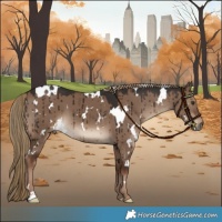 Horse Color:White Spotted Liver Red Dun Brindle 