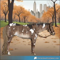 Horse Color:White Spotted Liver Red Dun Brindle