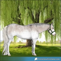 Horse Color:White Spotted Liver Red Dun Roan Mushroom 