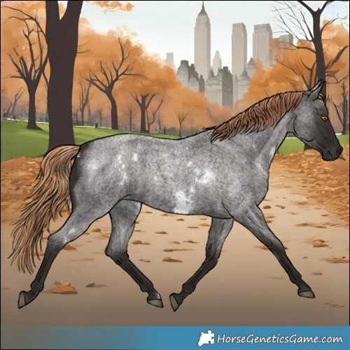 Horse Color:White Spotted Liver Red Roan 