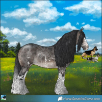 Horse Color:Brown Dun Mushroom Sabino Splash Rabicano Brindle 