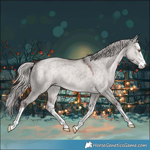Horse Color:Platinum White Spotted Chocolate Palomino Dun