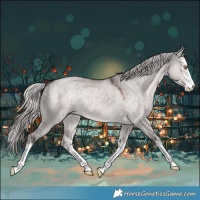 Horse Color:Platinum White Spotted Chocolate Palomino Dun 