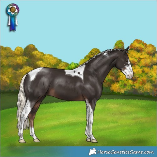 Horse Color:Liver Chestnut Mushroom Sabino Tobiano 
