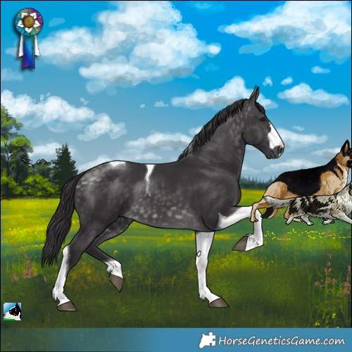 Horse Color:Platinum Buckskin Tobiano 