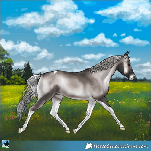 Horse Color:Platinum Chocolate Palomino Onyx Tobiano 