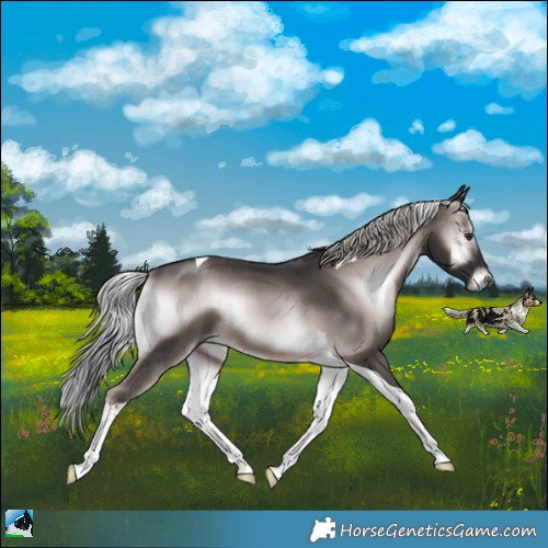 Horse Color:Platinum Chocolate Palomino Onyx Tobiano