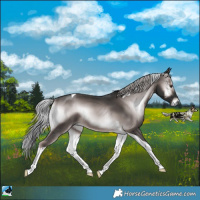 Horse Color:Platinum Chocolate Palomino Onyx Tobiano 