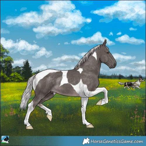Horse Color:Platinum Chocolate Palomino Tobiano 