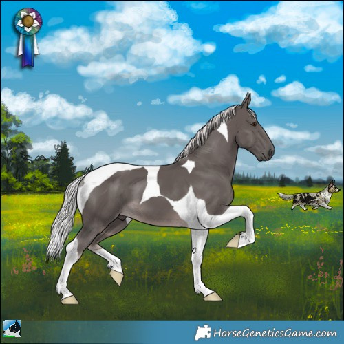 Horse Color:Platinum Chocolate Palomino Tobiano 