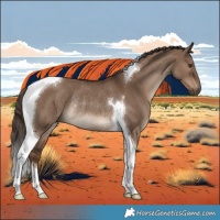 Horse Color:Liver Red Dun Tobiano Rabicano