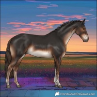 Horse Color:Liver Chestnut Tobiano 