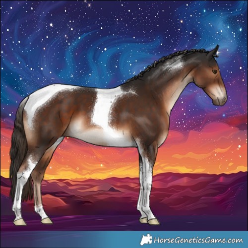 Horse Color:Liver Chestnut Tobiano 