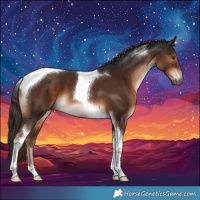 Horse Color:Liver Chestnut Tobiano 