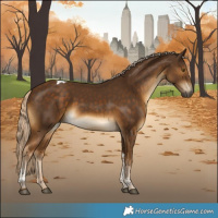 Horse Color:Chocolate Palomino Tobiano 