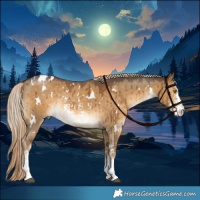 Horse Color:White Spotted Chocolate Palomino Dun Sabino Rabicano Brindle