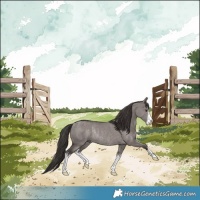 Horse Color:Platinum White Spotted Liver Red Dun Rabicano