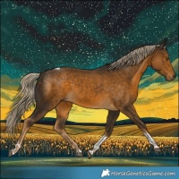 Horse Color:Chocolate Palomino Tobiano 