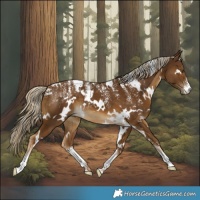 Horse Color:Powder White White Spotted Chocolate Palomino 