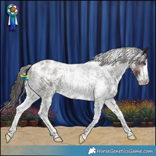Horse Color:Liver Chestnut Sabino 