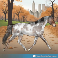 Horse Color:White Spotted Liver Red Roan 