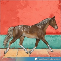 Horse Color:Powder White White Spotted Chocolate Palomino