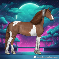 Horse Color:Chestnut Tobiano Rabicano