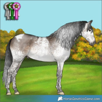 Horse Color:Gray Brown Dun Mushroom Splash Tobiano 