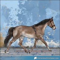 Horse Color:White Spotted Liver Red Dun Tobiano