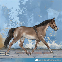 Horse Color:White Spotted Liver Red Dun Tobiano 