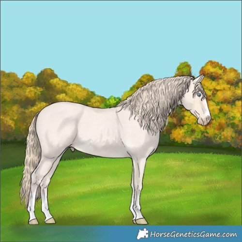 Horse Color:Perlino Roan 