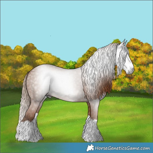 Horse Color:Gray Chestnut Splash 