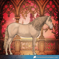 Horse Color:Gold Champagne 