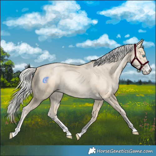 Horse Color:Silver Smoky Black Pearl