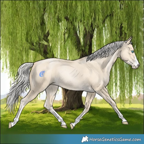 Horse Color:Silver Smoky Black Pearl 