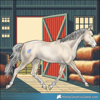 Horse Color:Silver Smoky Black Pearl