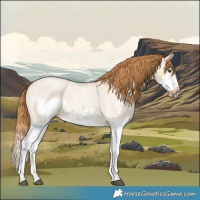 Horse Color:Red Dun Roan Splash Frame Rabicano 