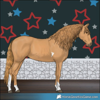 Horse Color:Chestnut Tobiano 
