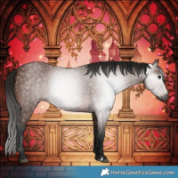 Horse Color:Gray Bay