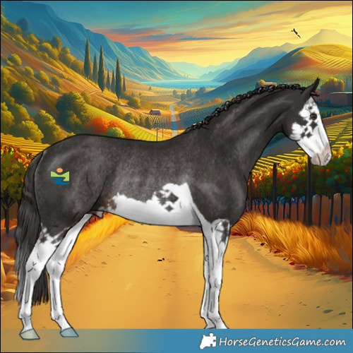 Horse Color:Liver Chestnut Splash Rabicano 