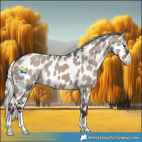 Horse Color:Liver Red Dun Mushroom Leopard 