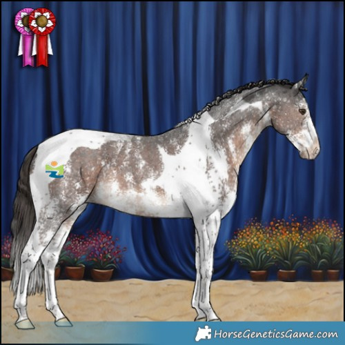 Horse Color:Liver Chestnut Sabino Tobiano