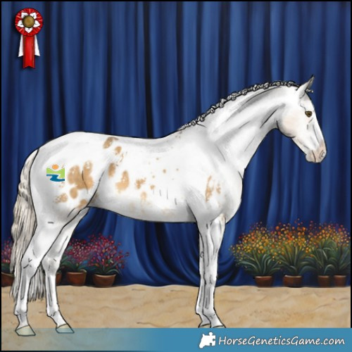 Horse Color:Chocolate Palomino Dun Mushroom Sabino Tobiano Appaloosa 